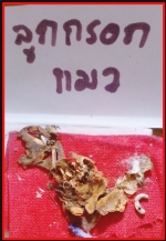 ลูกกรอกแมว(3442)